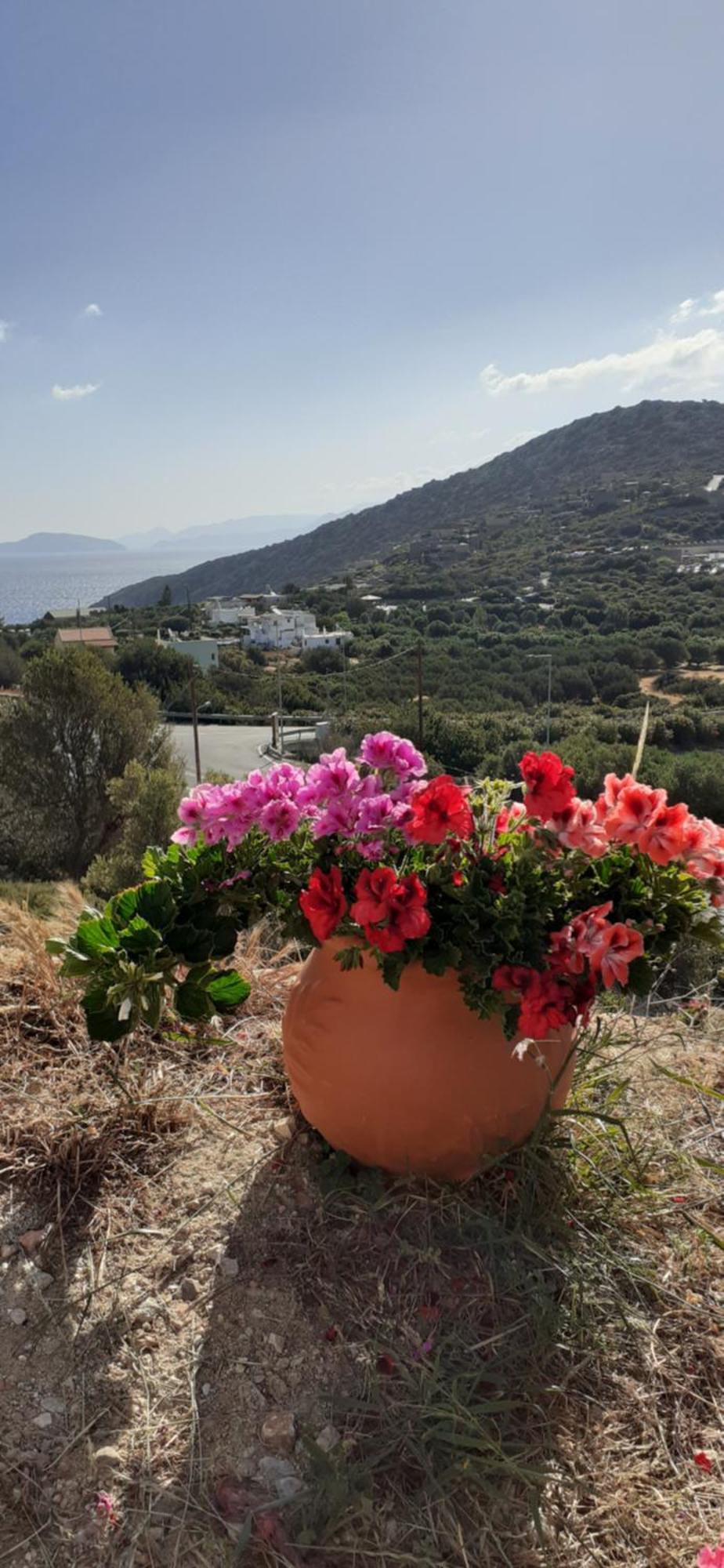 Hari Apartments Vathi, Agios Nikolaos Crete Buitenkant foto