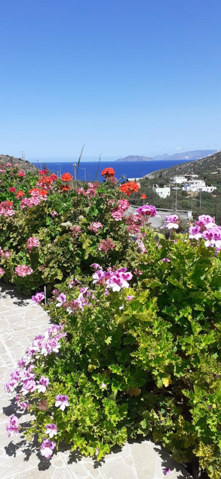 Hari Apartments Vathi, Agios Nikolaos Crete Buitenkant foto