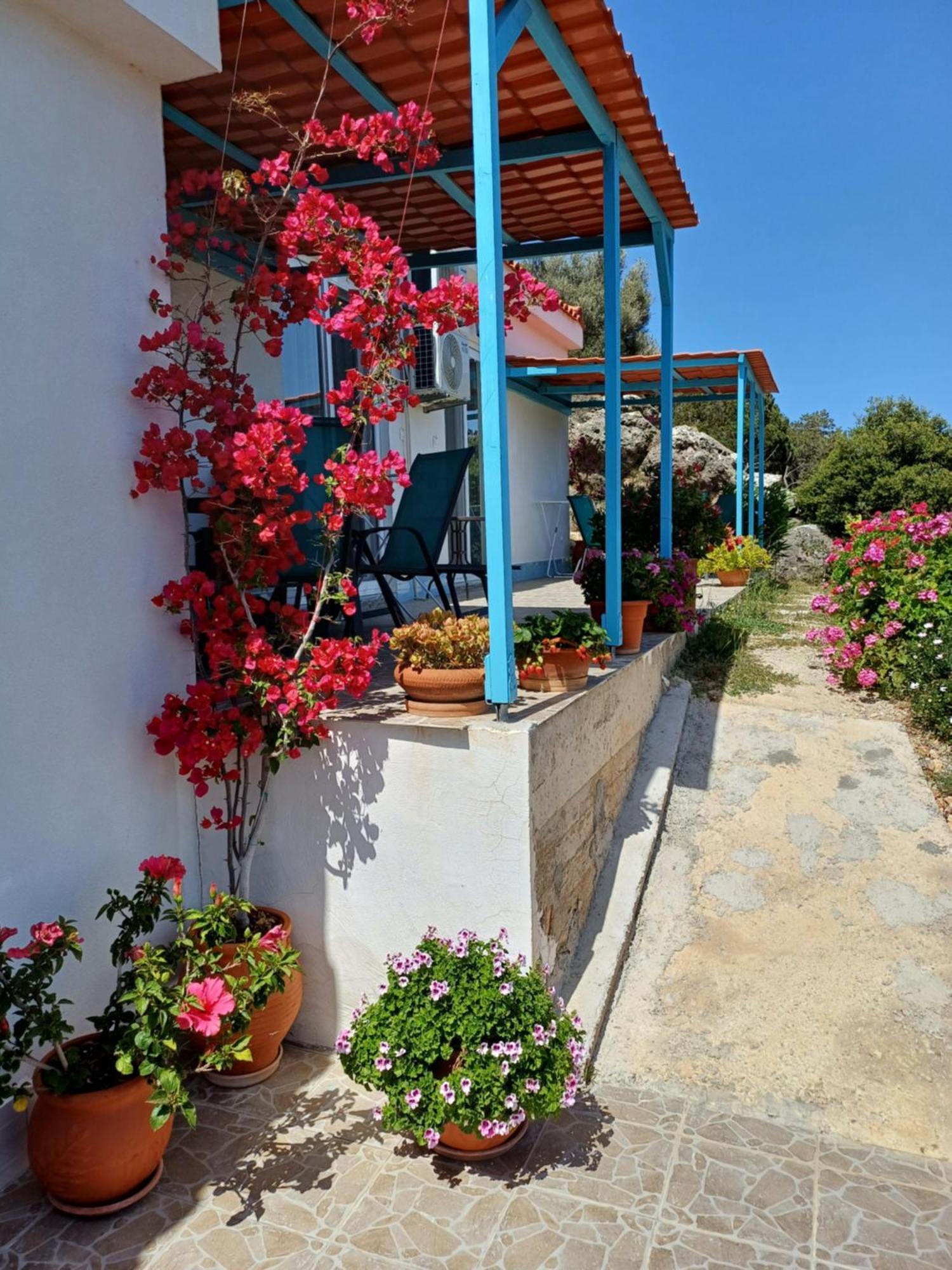 Hari Apartments Vathi, Agios Nikolaos Crete Buitenkant foto